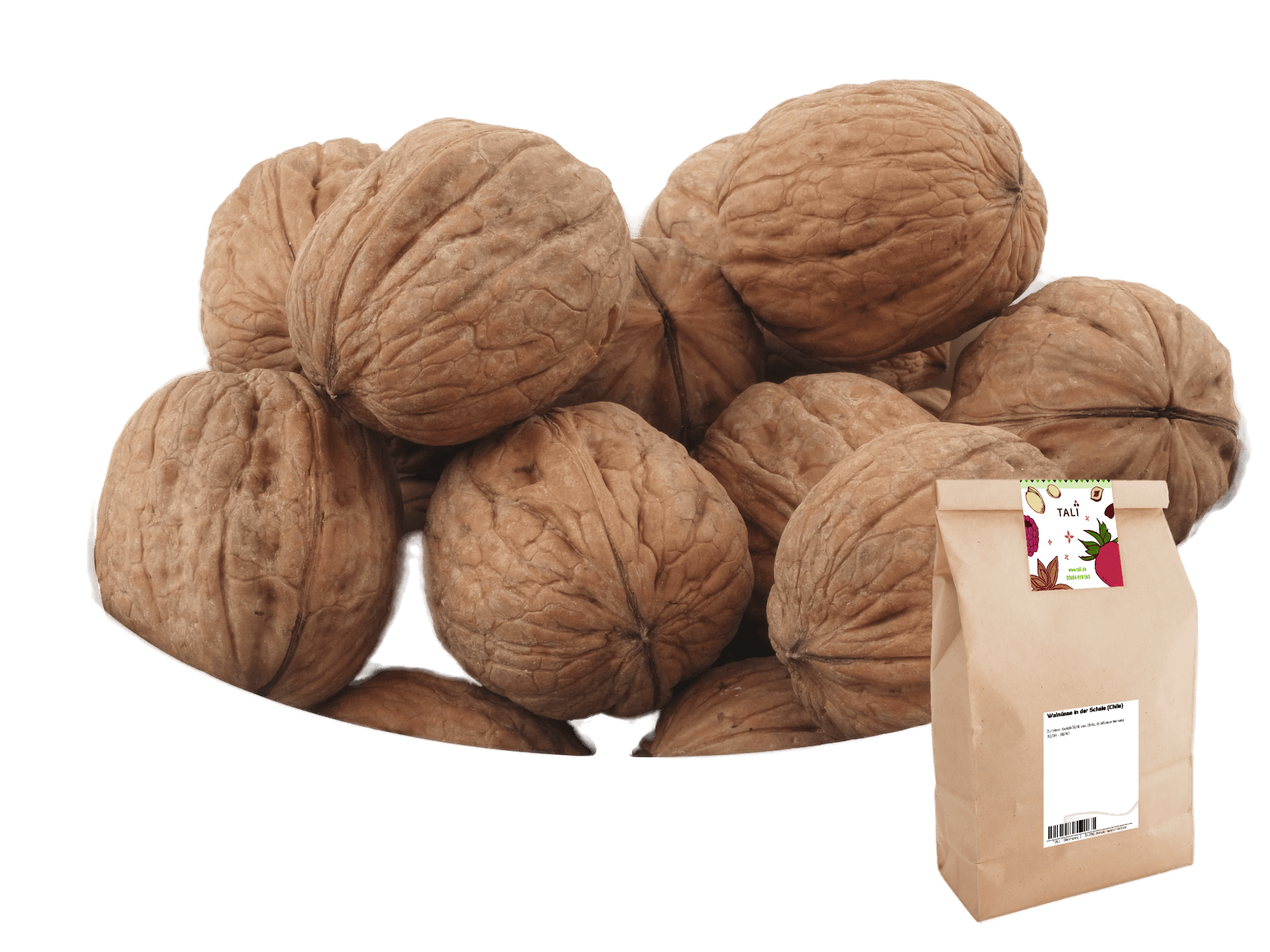Walnüsse in der Schale (Chile) 1 kg