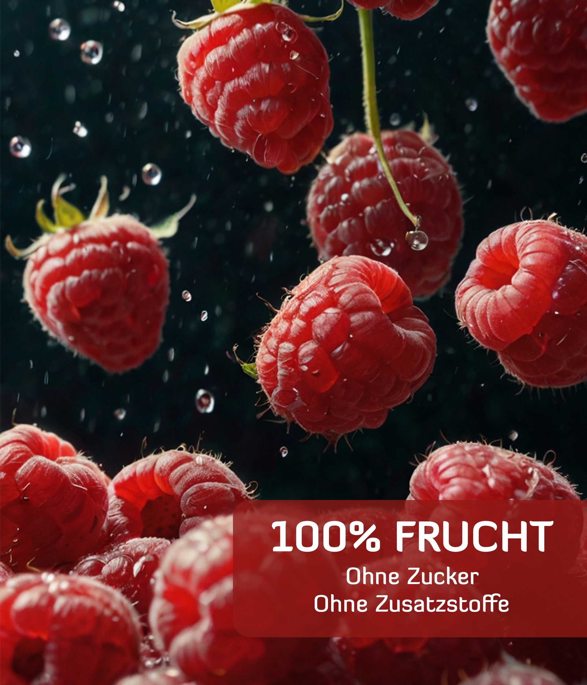 Himbeeren gefriergetrocknet 100 g Dose