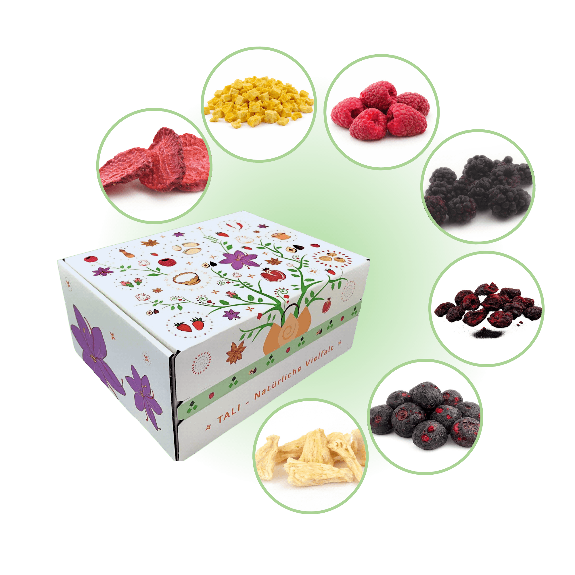 Geschenkbox Fruchtvielfalt - 7 Sorten gefriergetrocknete Früchte