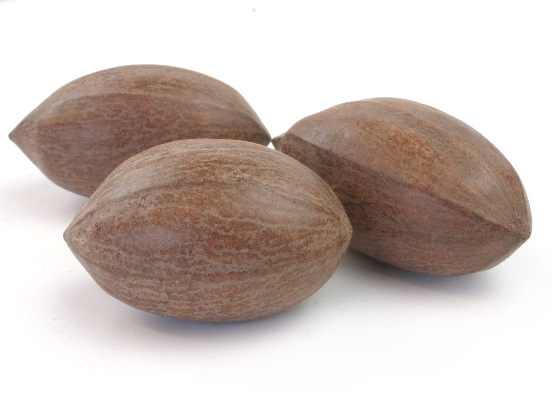 Pekannüsse in der Schale 1 kg