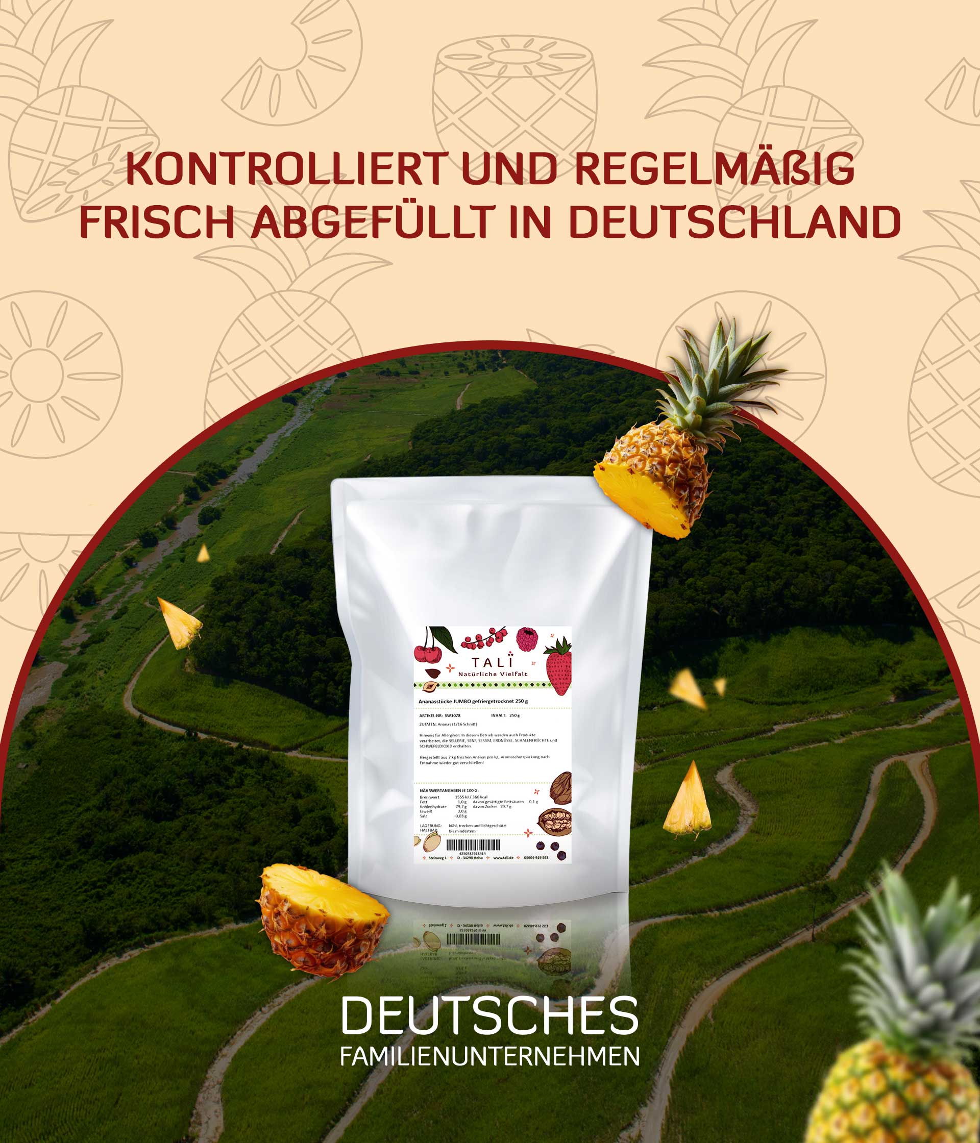 Ananasstücke JUMBO gefriergetrocknet 1000 g