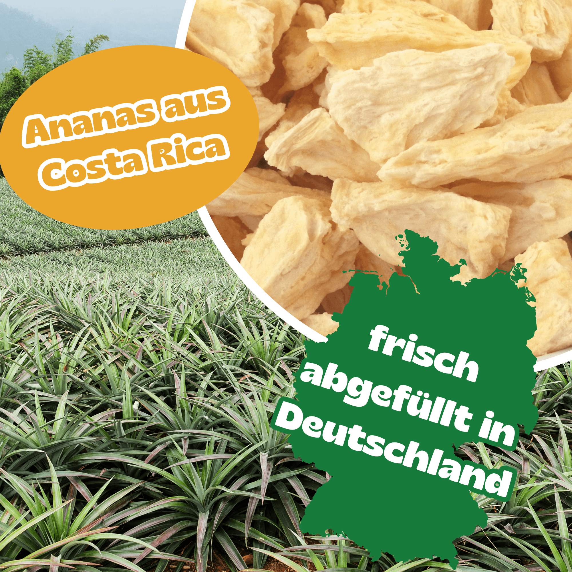 Ananas gefriergetrocknet 200 g