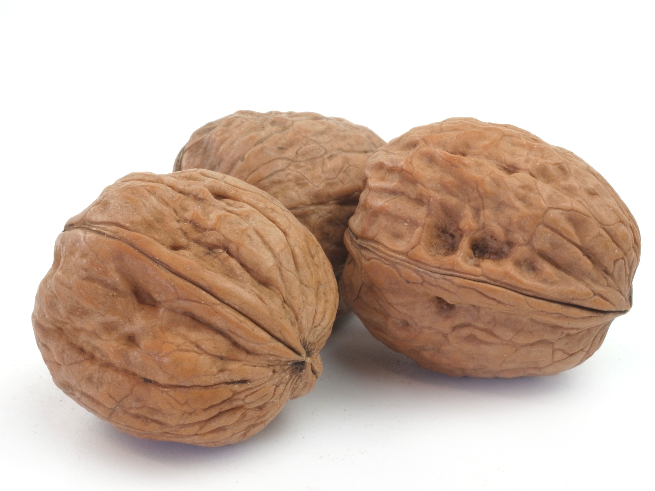 Walnüsse in der Schale (Grenobler, Frankreich) 1 kg