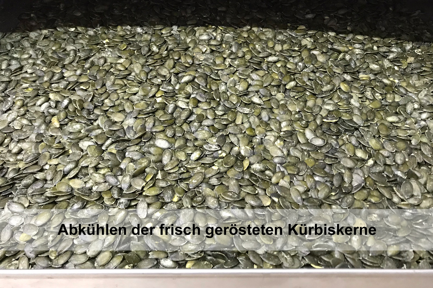 Kürbiskerne,  geröstet und gesalzen 250 g