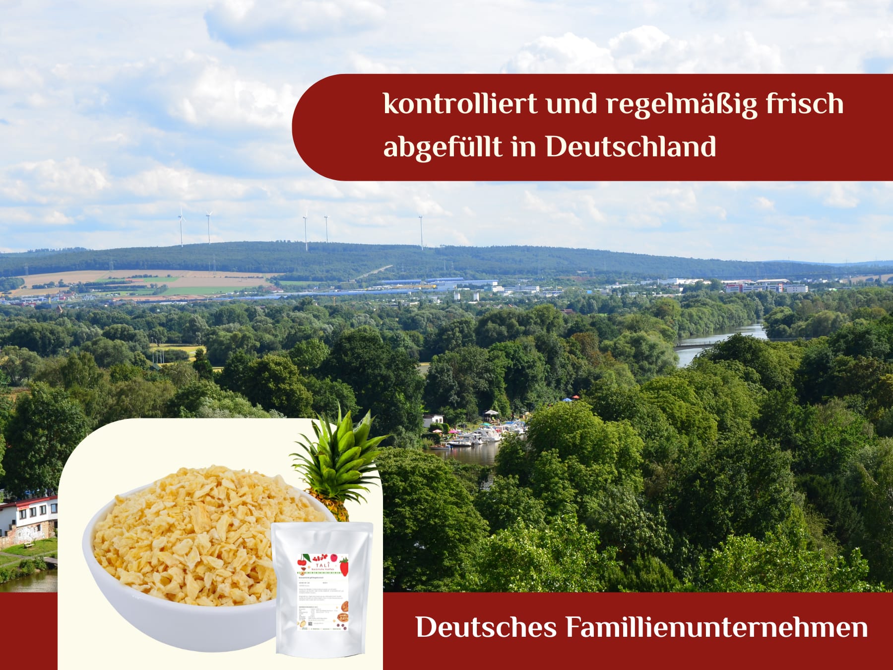 Ananasstücke gefriergetrocknet 200 g