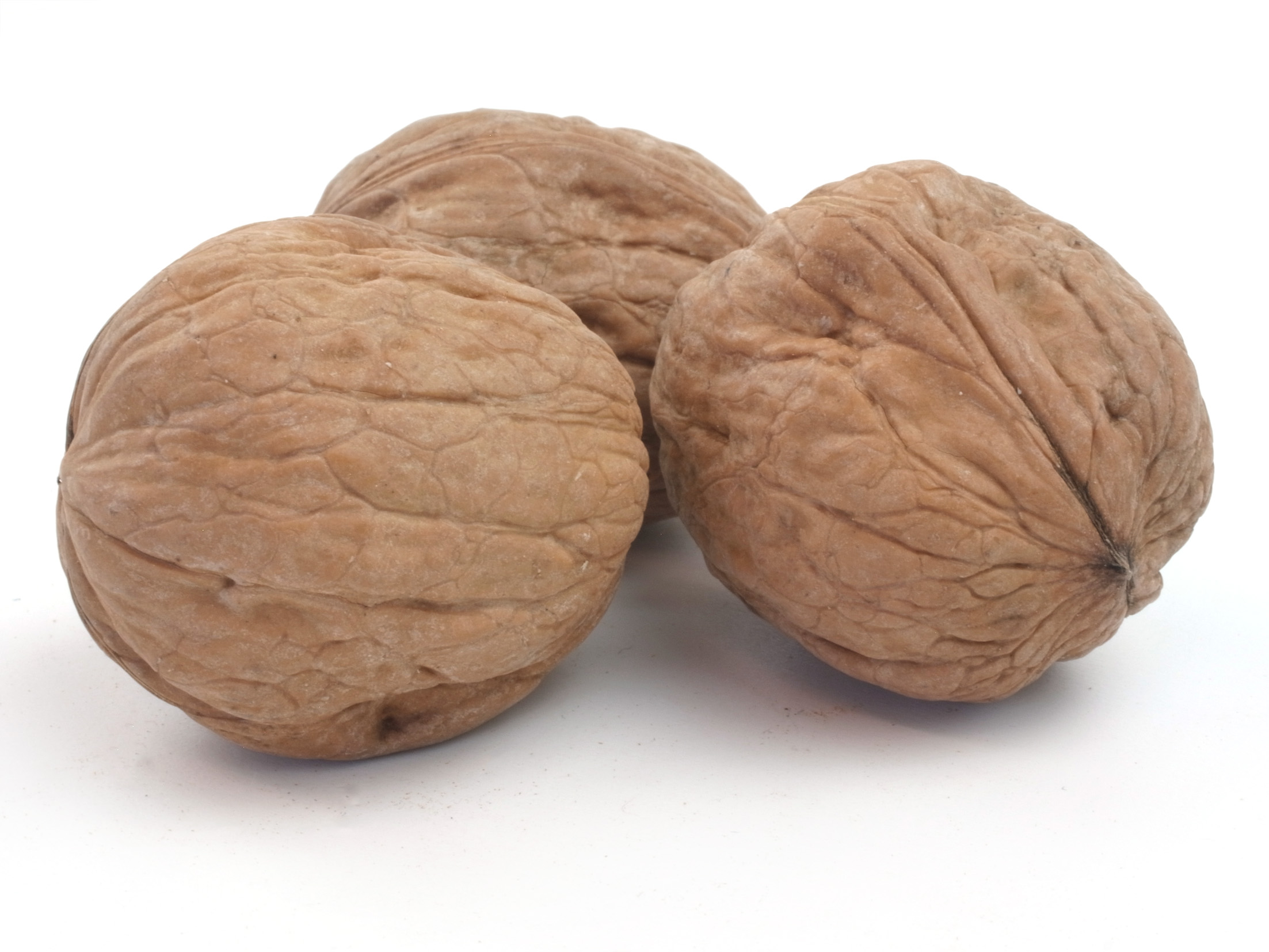 Walnüsse in der Schale (Chile) 1 kg