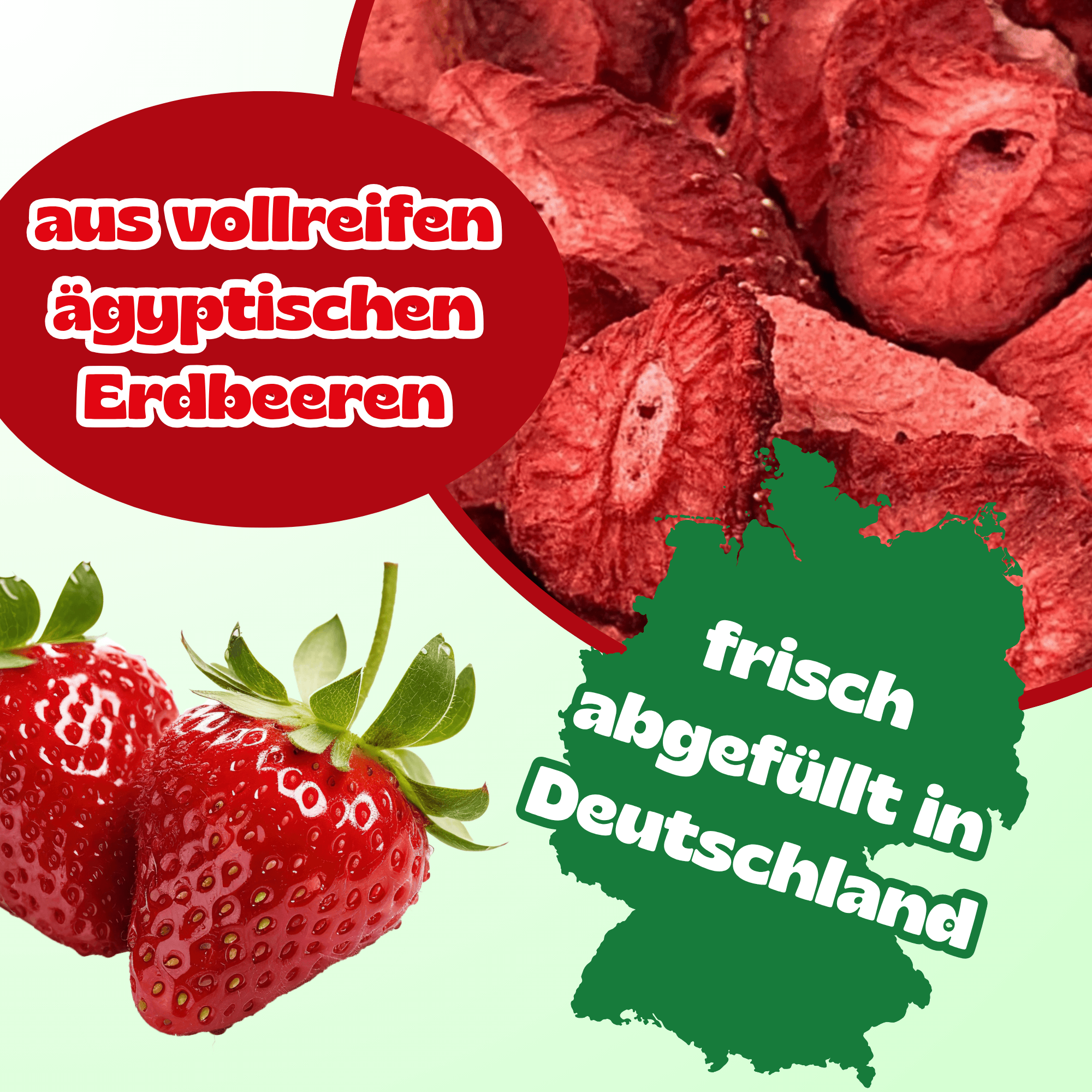 Erdbeeren gefriergetrocknet 500 g
