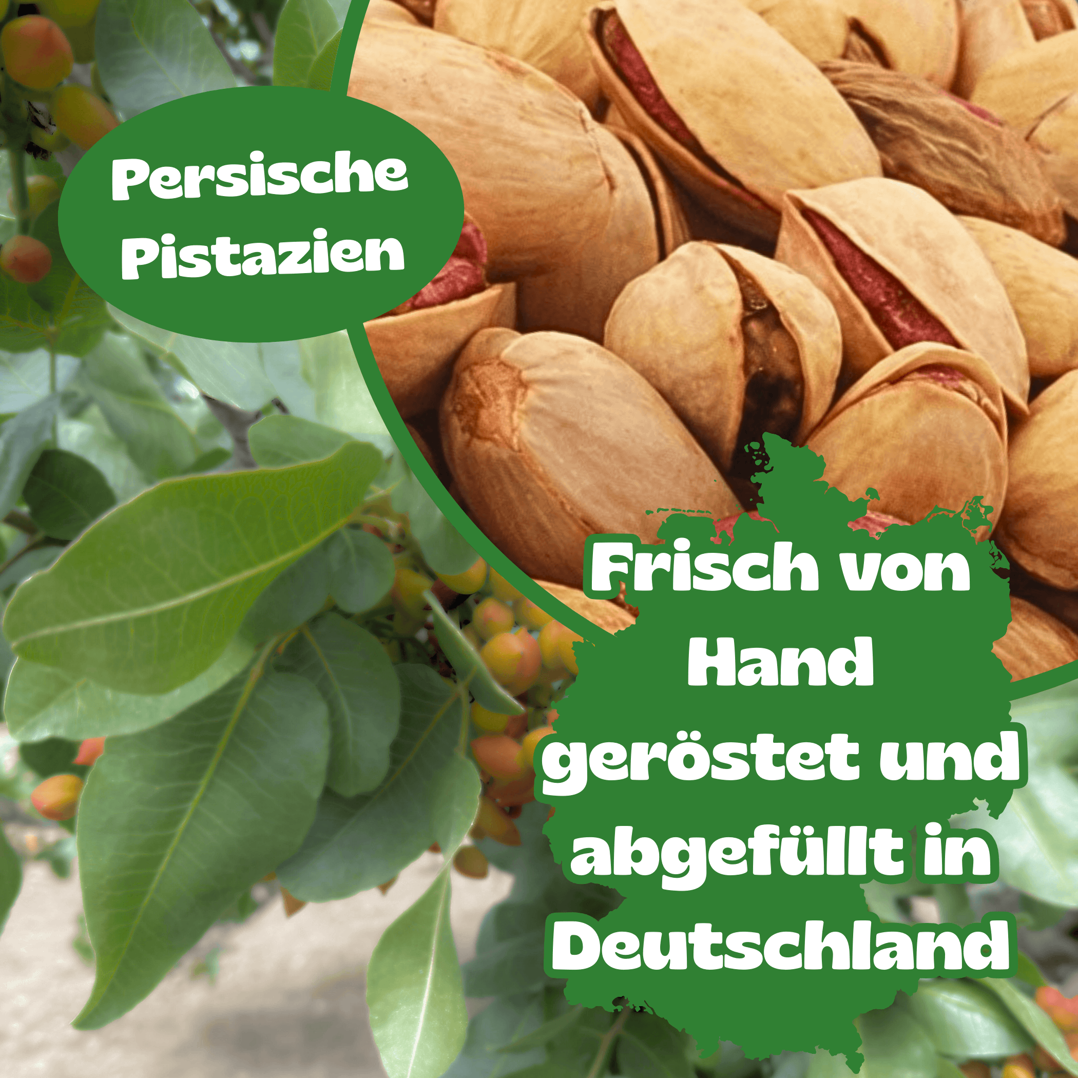 Pistazien nach persischer Art geröstet 250 g